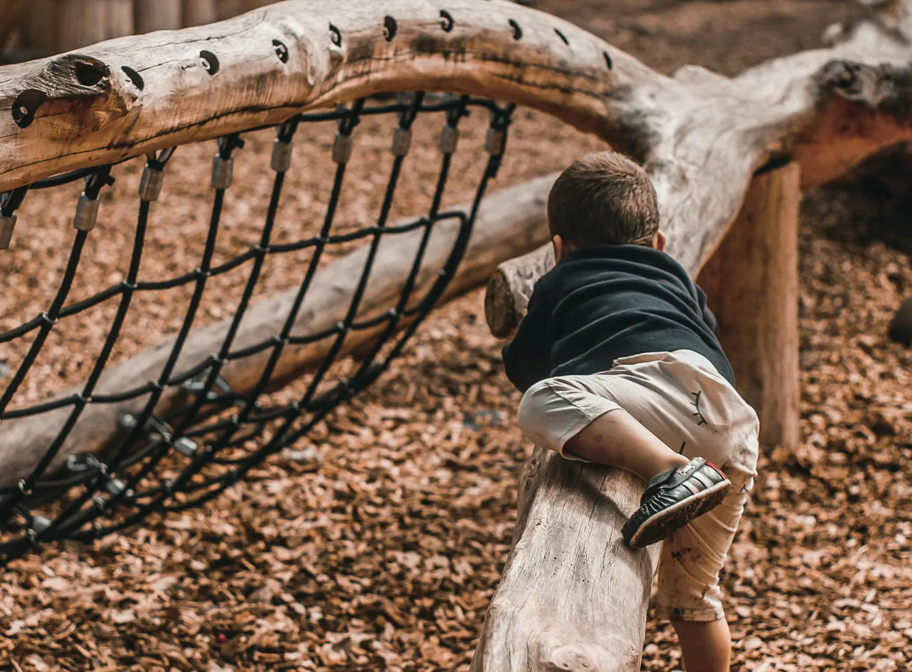 Activités en famille à Bolquère : Acrobranche